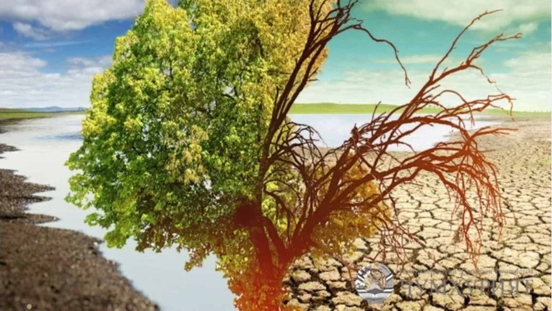 Bologna